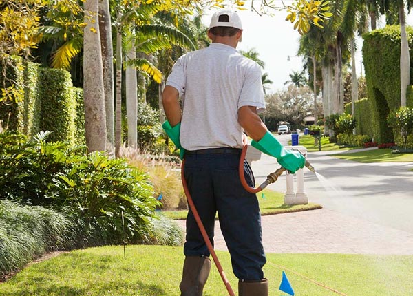 About Hilton Head Island SC Pest Control Pros